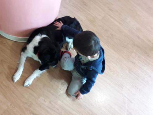 Pet-Therapy con Erika-e-Nana 2019 9