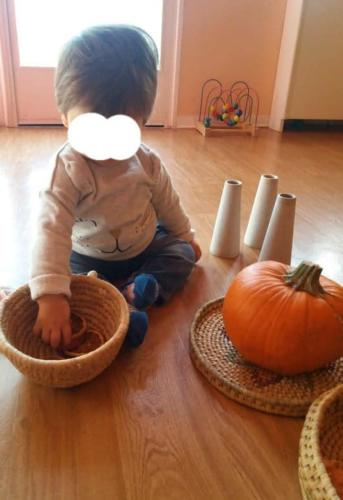 Sapori d autunno 2