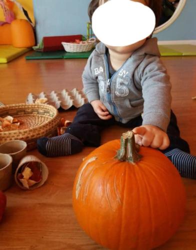 Sapori d autunno 3